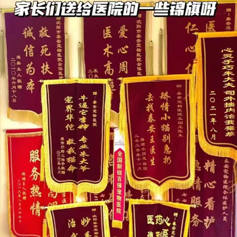 宠物医生兔子医生在线咨询问诊24小时兽医在线诊疗诊断兔病与预防，守护萌兔健康秘籍大公开！