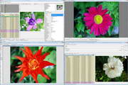 WildBit Viewer6.3
