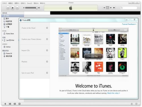 iTunes