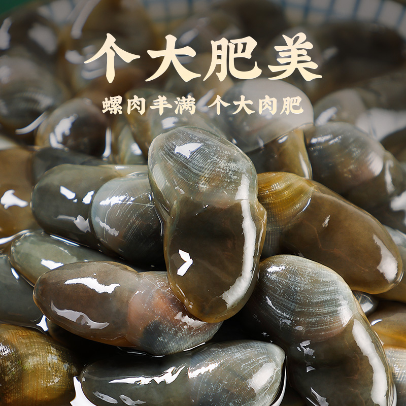 胖子醉泥螺太香了！宁波黄泥螺罐装即食，吃一口就上瘾