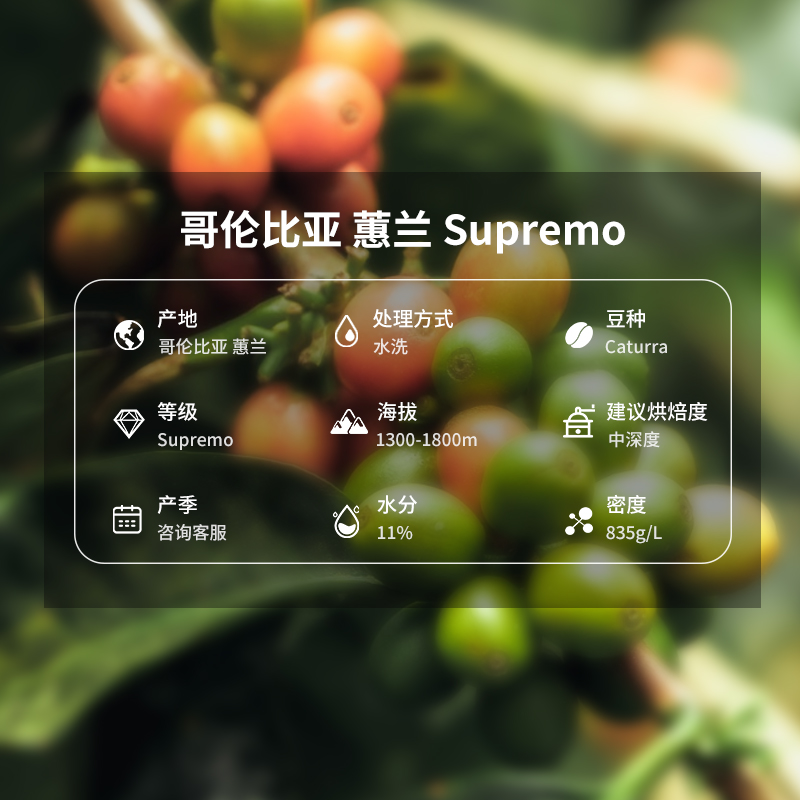 25产季哥伦比亚蕙兰Supremo水洗咖啡生豆：一杯咖啡里的故事与风味