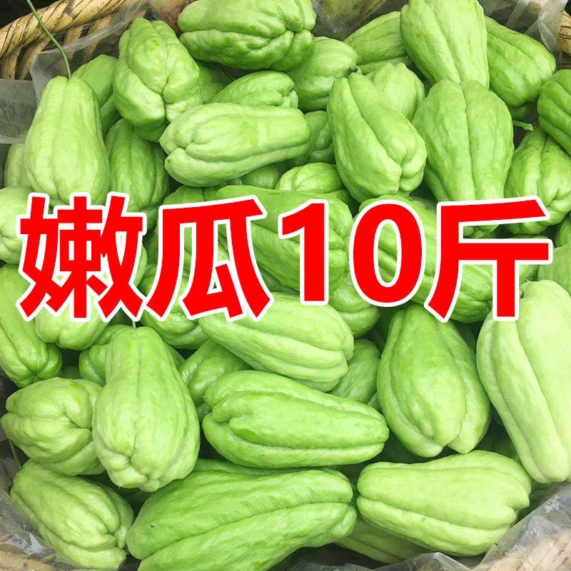 云南新鲜佛手瓜：孕妇的福音，当季蔬菜中的清甜惊喜！