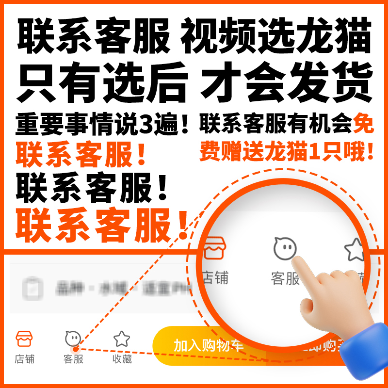 龙猫幼崽活宠大揭秘：北京萌宠市场新宠儿，长毛活体带笼已打疫苗