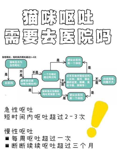 慢性折磨呕吐室,疾病解析与应对策略