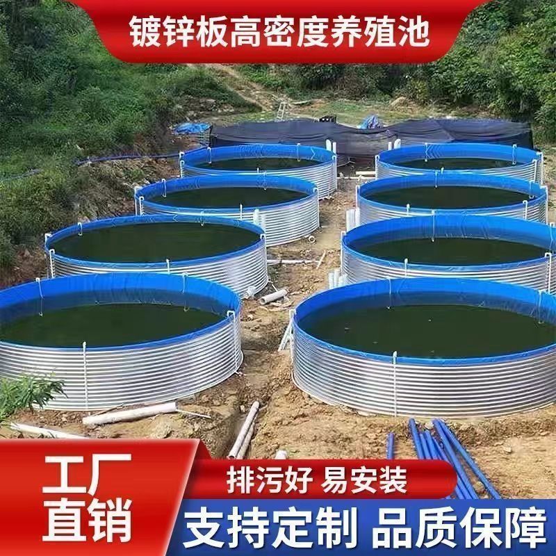 养鱼党狂喜！这款高密度鱼池真的太香了！户外蓄水池神器来了