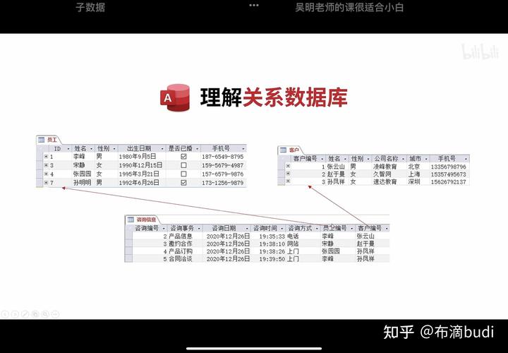 access数据库学习,从入门到精通