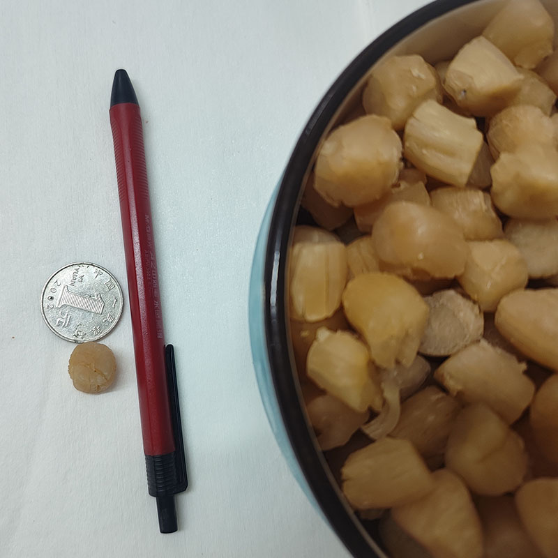 大连海鲜干品：瑶柱扇贝肉柱的美味秘密，宝宝辅食新选择！