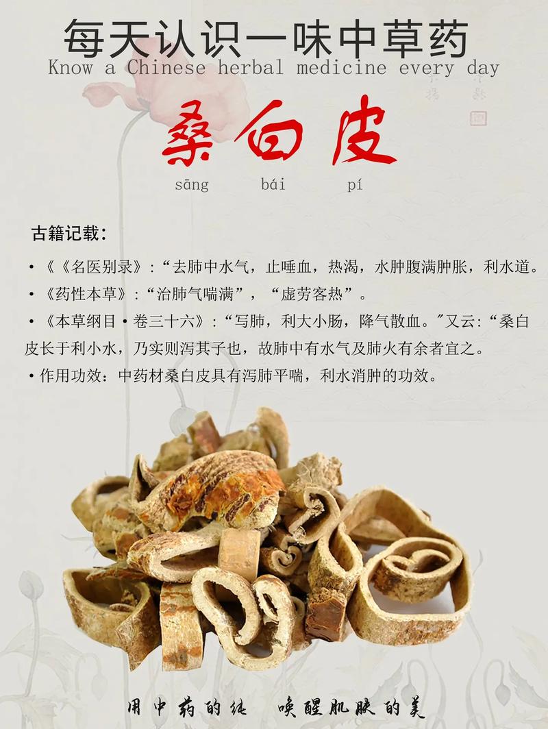 桑白皮图片,桑白皮——大自然的馈赠与药用价值