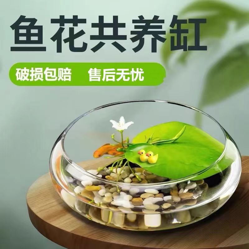 花盆鼓茶几+鼓凳子！文艺青年的客厅神器，颜值爆表还能当装饰！