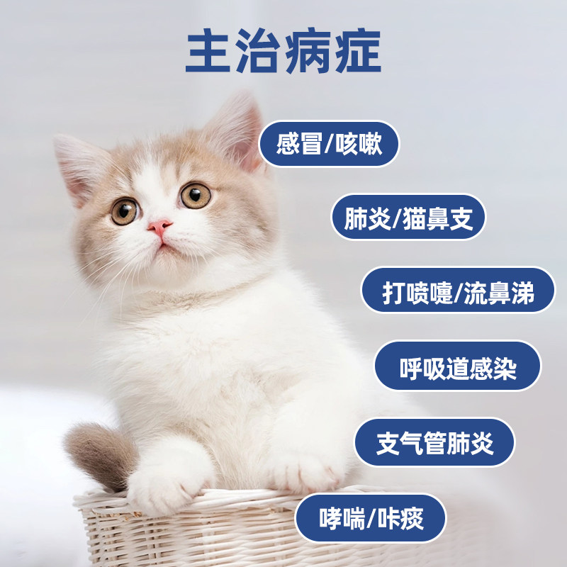 猫鼻支专用雾化药液：宠物猫咪肺炎咳嗽新救星！