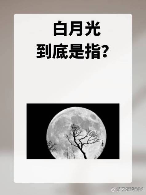 白月光是什么意思,白月光是什么意思？探寻这个词语的深层含义