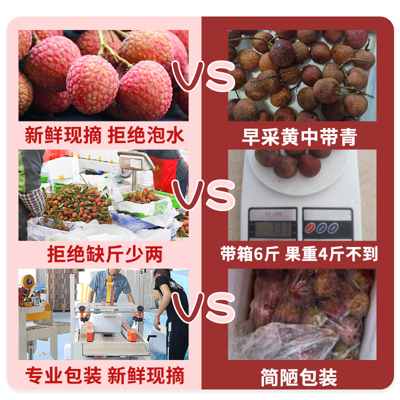现货【观音绿荔枝】青皮荔王，5斤新鲜水果礼盒，顺丰速递，让你尝鲜不等待！
