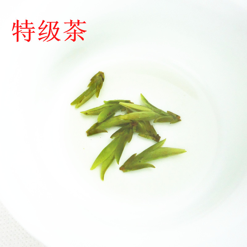 2025年新茶茶叶高山绿茶：明前特级大佛龙井，春茶农直销，喝出春天的味道