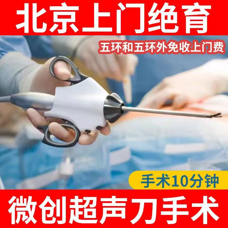 北京上门猫绝育手术：宠物健康的第一步，如何选择最安全可靠的绝育服务？