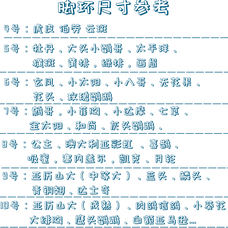 鹦鹉脚链不锈钢不伤脚牵引绳：和尚虎皮玄凤专用放飞绳，遛鸟神器大揭秘！