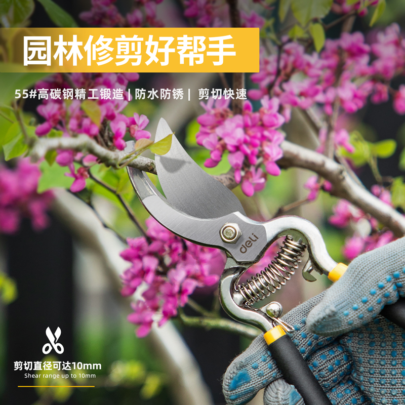 得力DL2770/2778/2779园林剪刀：园艺爱好者的终极神器！