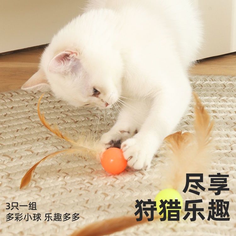 猫咪玩具：宠物电动蛇幼猫狗神器，自嗨解闷消耗体力的必备神器！✨