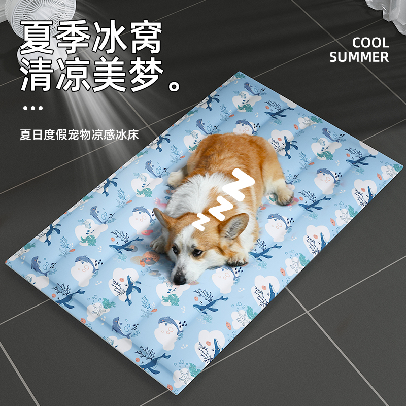 ZKTeco/熵基科技CM40/CM50/CM60消费机：食堂售饭新体验，打卡吃饭两不误！