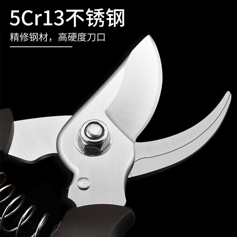 日本进口不锈钢园艺剪刀：园艺达人的必备神器，轻松修剪树枝与花艺！✂️