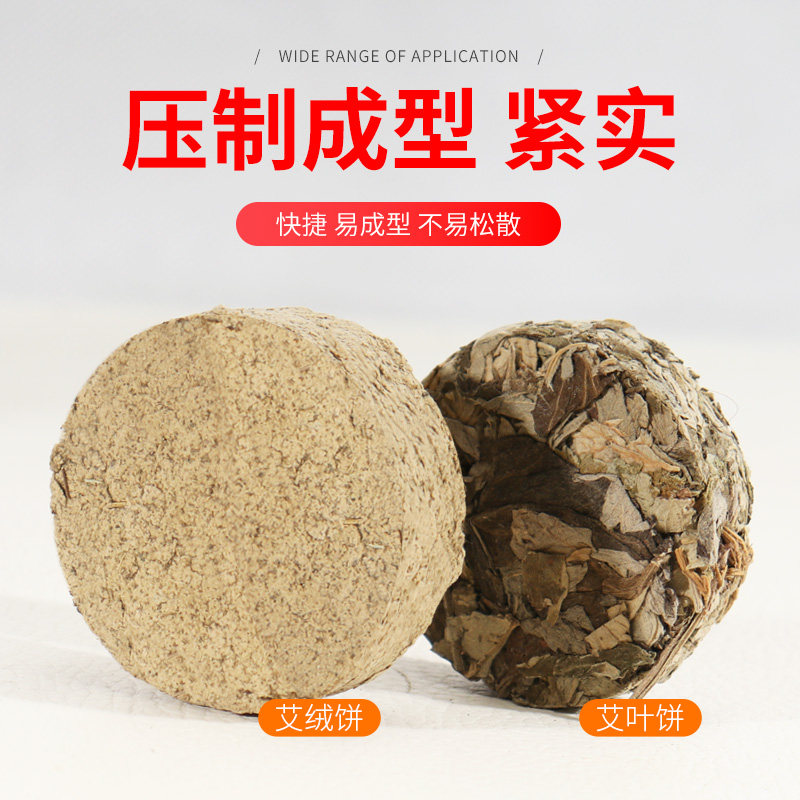如何选择合适的快速成型压饼器？2026年的热门款式分享