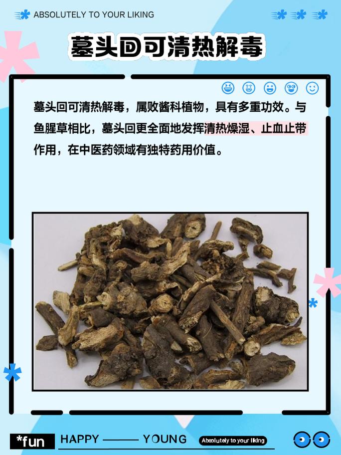 墓头回的功效与作用,墓头回的功效与作用的功能与主治