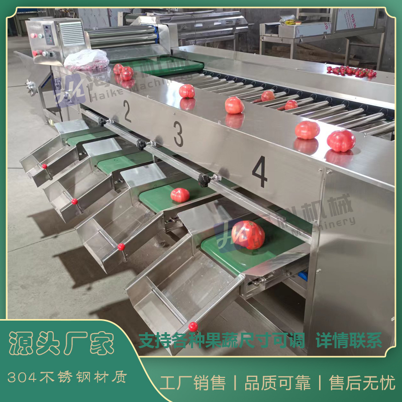 滚杠式选果机：水果分级新神器，龙眼圣女果土豆柠檬百香果山楂李子全搞定！