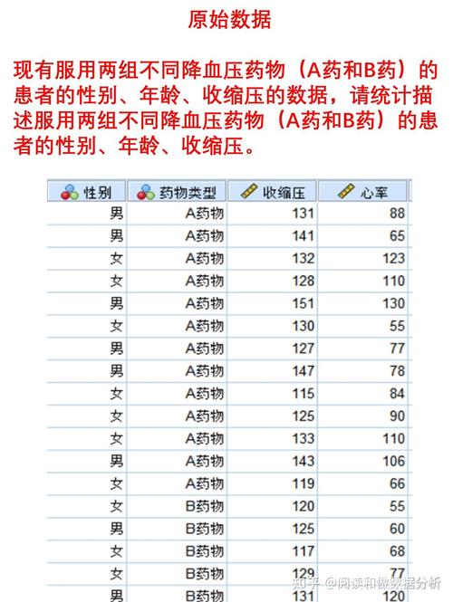 新浪nba数据库,新浪NBA数据库——篮球迷的宝藏之地