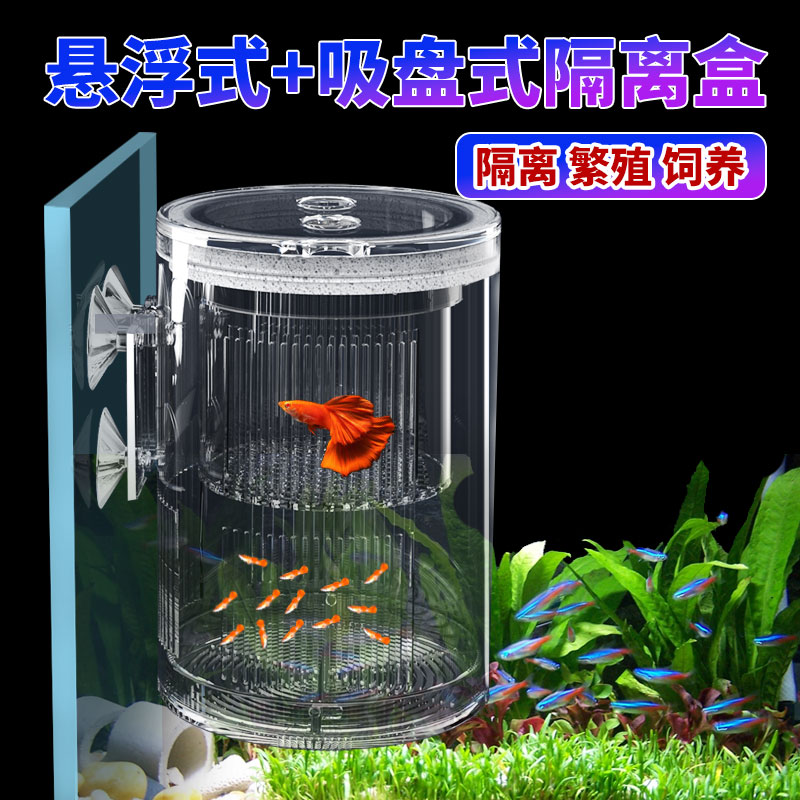 鲜活充氧活虾500g/盒，如何挑选和保存？虾迷们必看的选购秘籍！