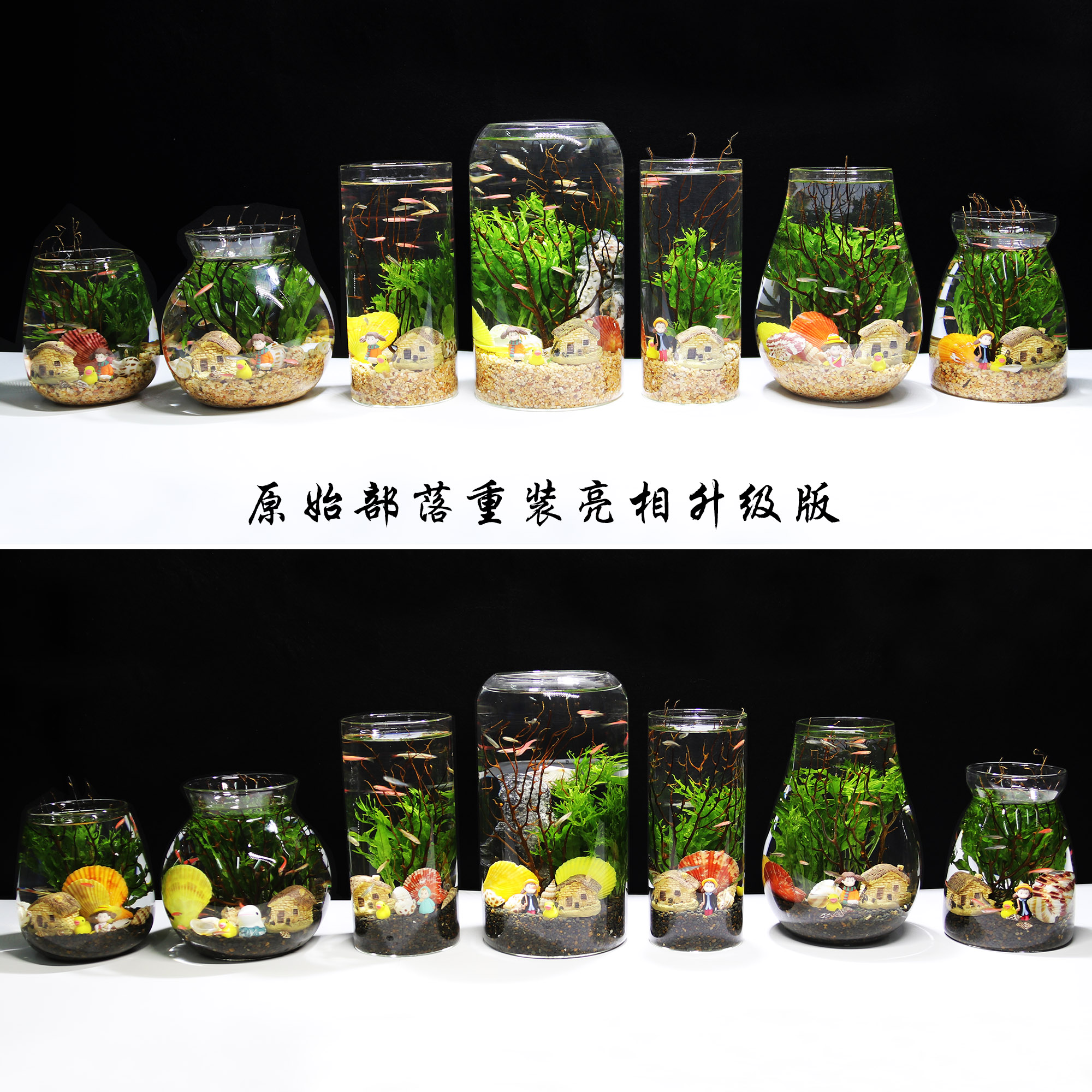 微景观生态鱼缸：创意免换水办公桌上的绿色氧吧，养鱼种草两不误！