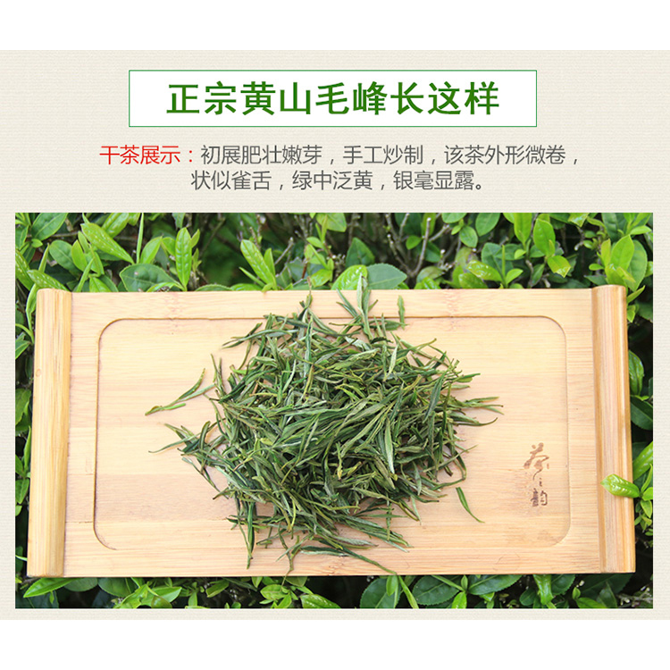 2025新茶黄山毛峰：直击源头，品鉴正宗安徽绿茶嫩芽