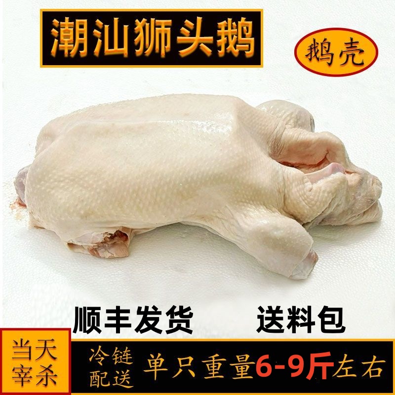 广东农场散养新鲜活杀正宗潮汕狮头鹅，带你尝鲜非老鹅头！