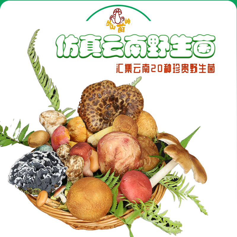 仿真云南野生菌：厨房里的自然奇遇，带你走进味觉盛宴！
