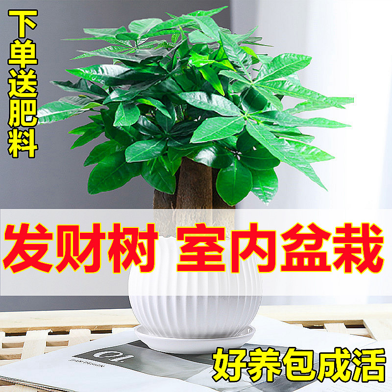 哑光岩板桌面橱柜卫浴茶几：石博士碱砂污渍去除秘籍大公开！