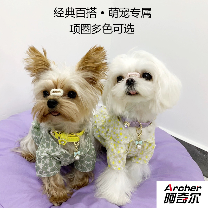 黑色牛皮白宝石铆钉阿奇尔真皮宠物项圈：贵妇犬的专属时尚单品！