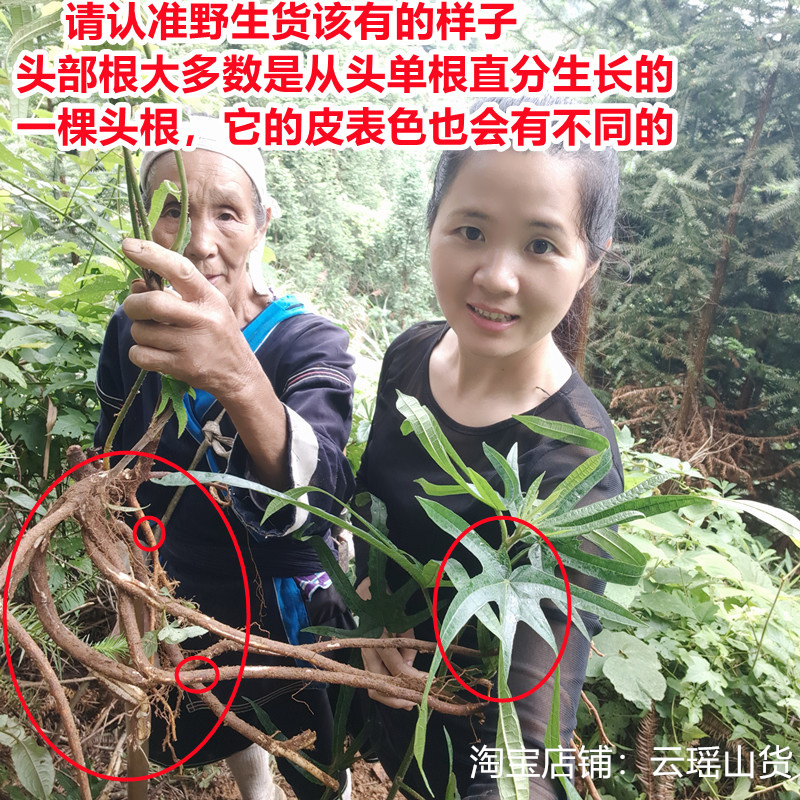 正品五指毛桃土茯苓组合：500g无硫干货，煲出健康好汤！
