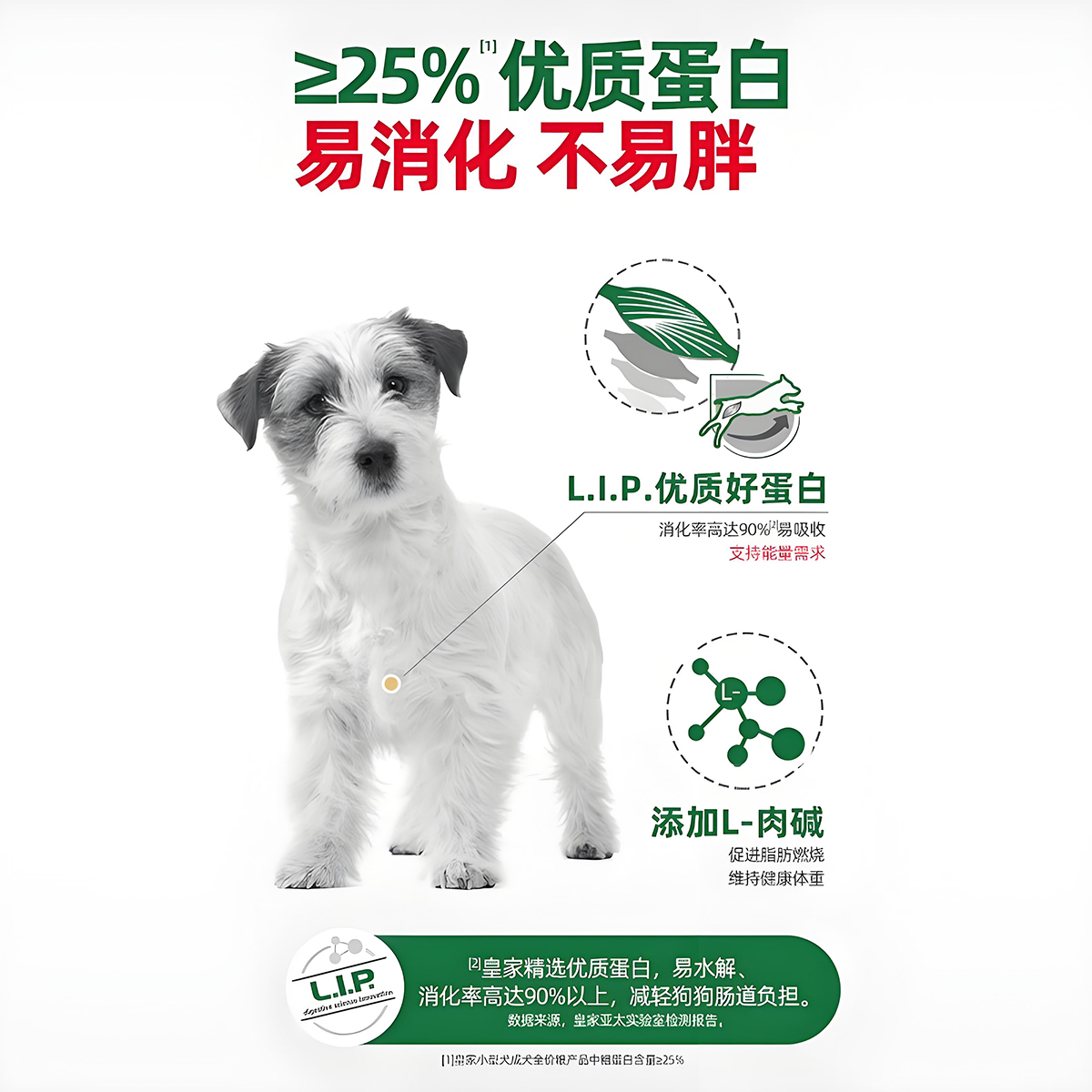 皇家狗粮PR27小型犬专用：比熊博美泰迪的美毛秘籍，2/8KG装，养宠必备神器！