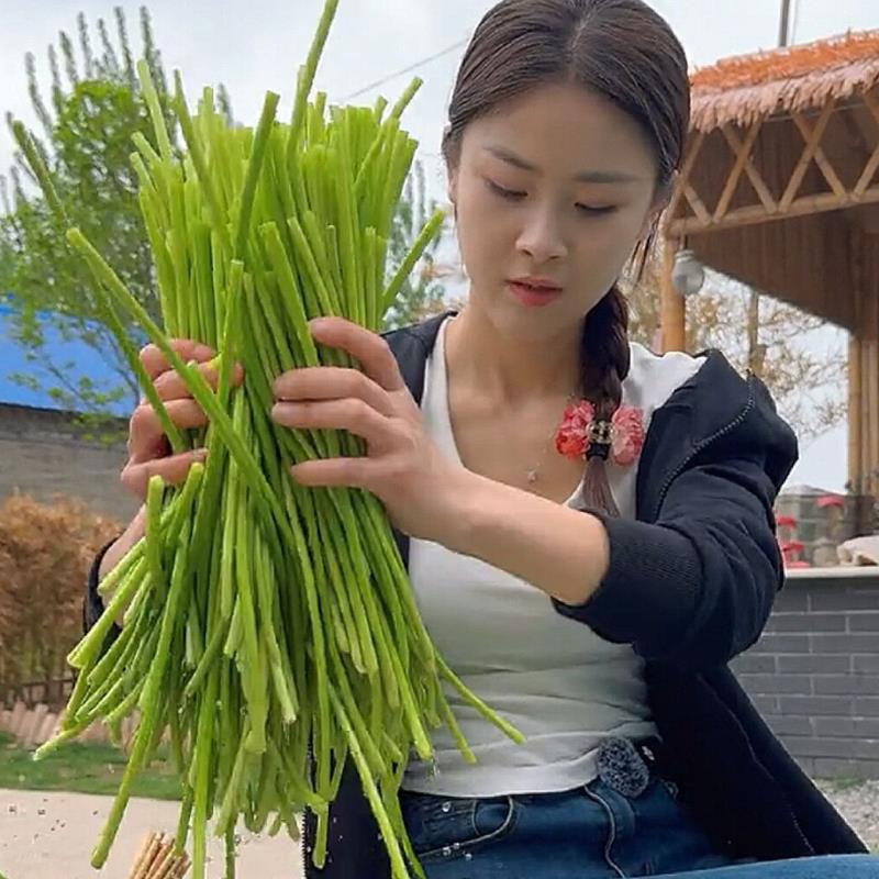 河南蒜苔新鲜来袭，当季蔬菜5斤装，农家自种的鲜蒜苔，吃出家乡味！