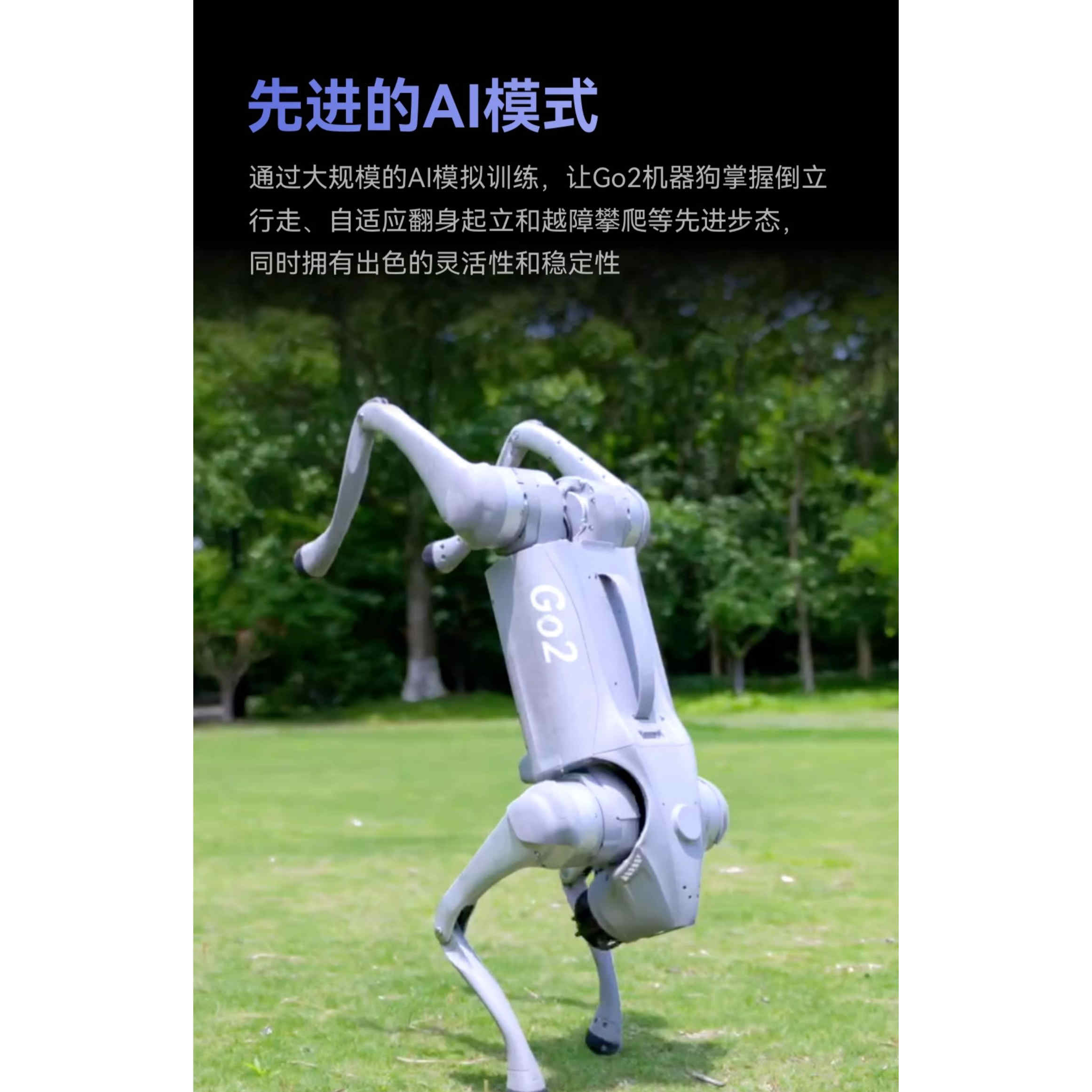 出租宇树机器狗G2PRO：开启智能生活新篇章，租赁上门服务了解一下？