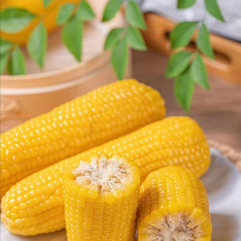厂家直发！东北哈尔滨黄糯玉米，甜糯爆浆，2.1kg/箱，10支装，开启夏日甜蜜暴击！