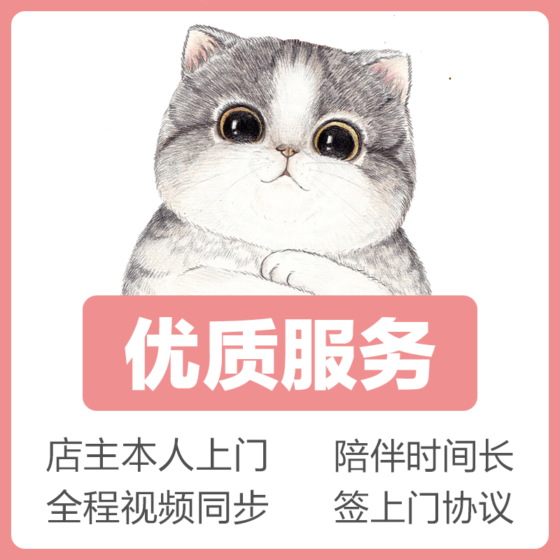 北京宠物上门喂猫遛狗！猫咪洗澡剃毛全搞定，懒人养宠必备神器！