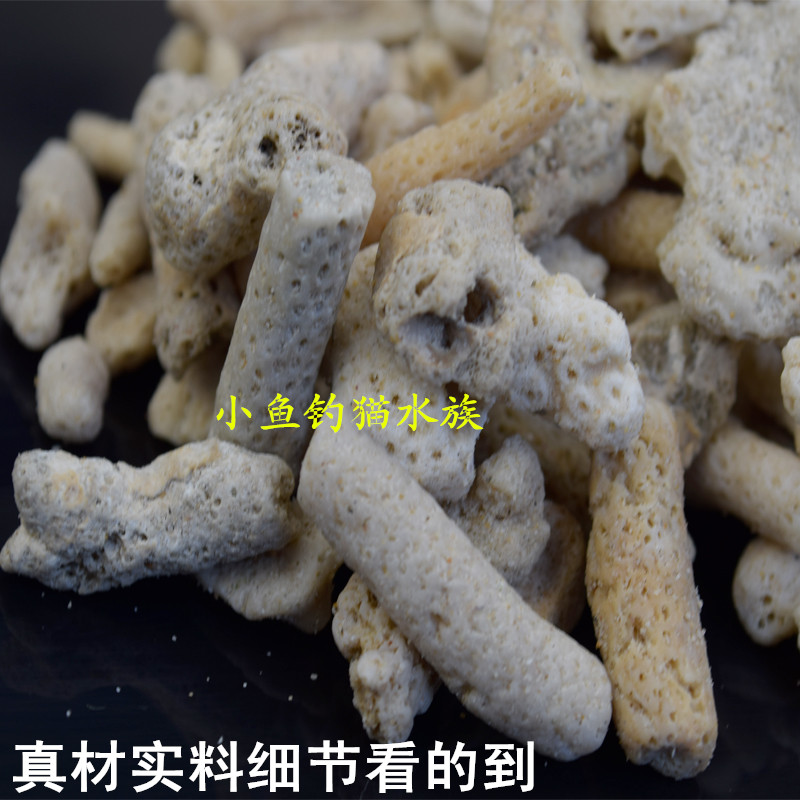 鱼小鱼泰国进口黑金刚螺：水族箱里的绿色清洁工，轻松养出清澈美景！✨
