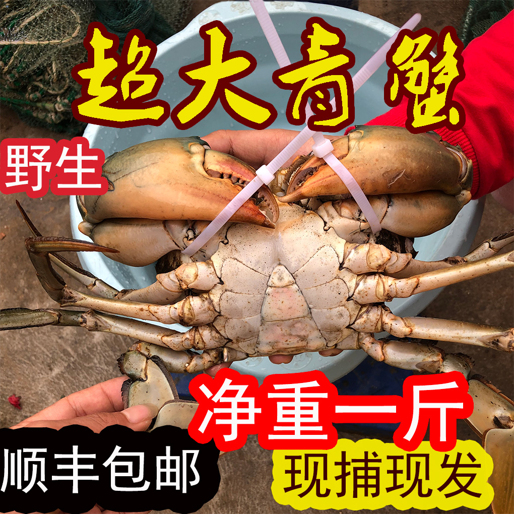 揭秘：一只肉蟹的价格背后，你了解多少？
