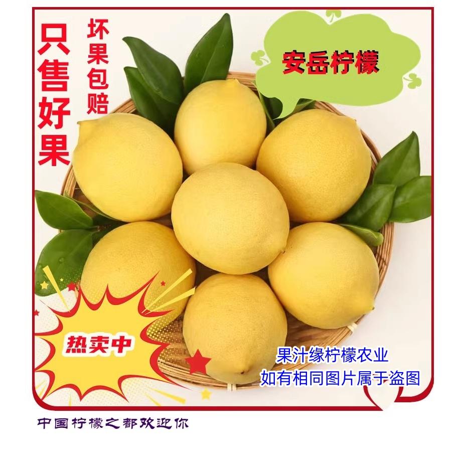 四川安岳黄柠檬：当季现摘，鲜美多汁，一口解腻的清新享受✨
