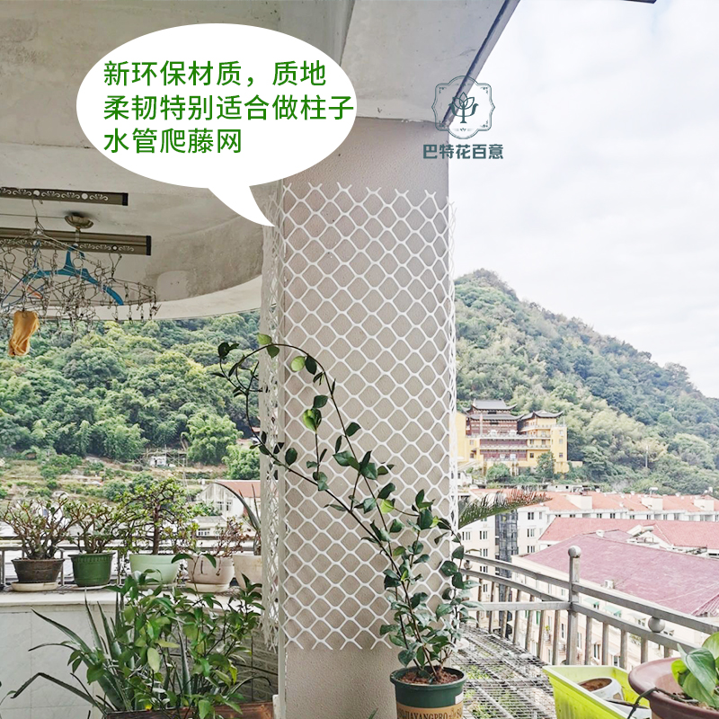 户外花园新宠：爬藤网植物花墙牵引塑料防护网格花架，打造梦幻月季蔷薇花枝藤蔓攀爬乐园！