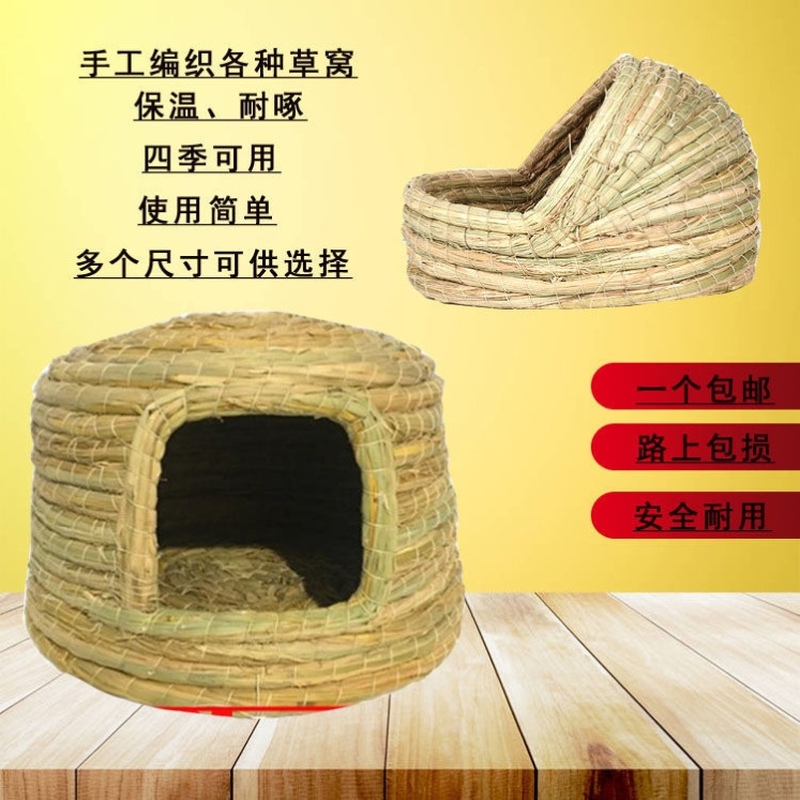 鸽子窝 vs 鹌鹑、玄凤鸟、鹦鹉窝：如何选择最适合的保暖孵蛋鸟巢？