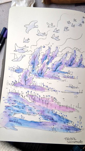 萨克拉门托免安装正式版6