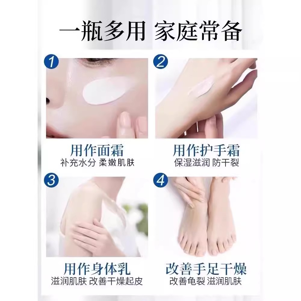 揭秘菲尼克斯时间：太阳之城的永恒钟声