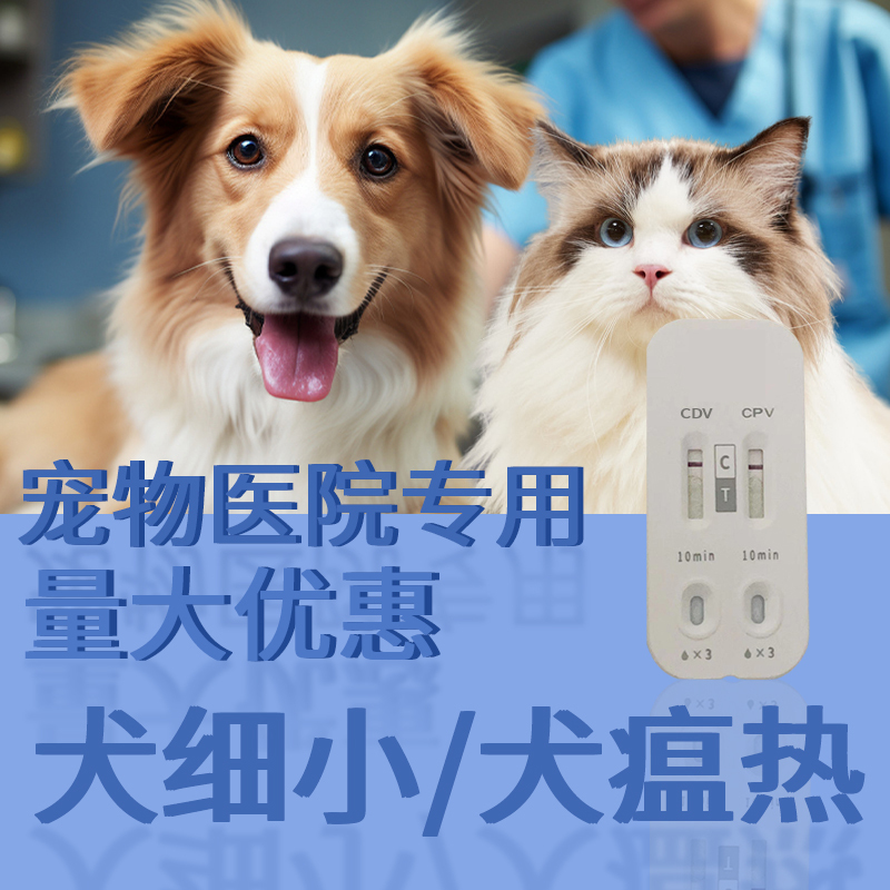 狗狗犬瘟细小冠状抗原试纸检测卡：宠物健康的守护神，如何解读这些专业名词？