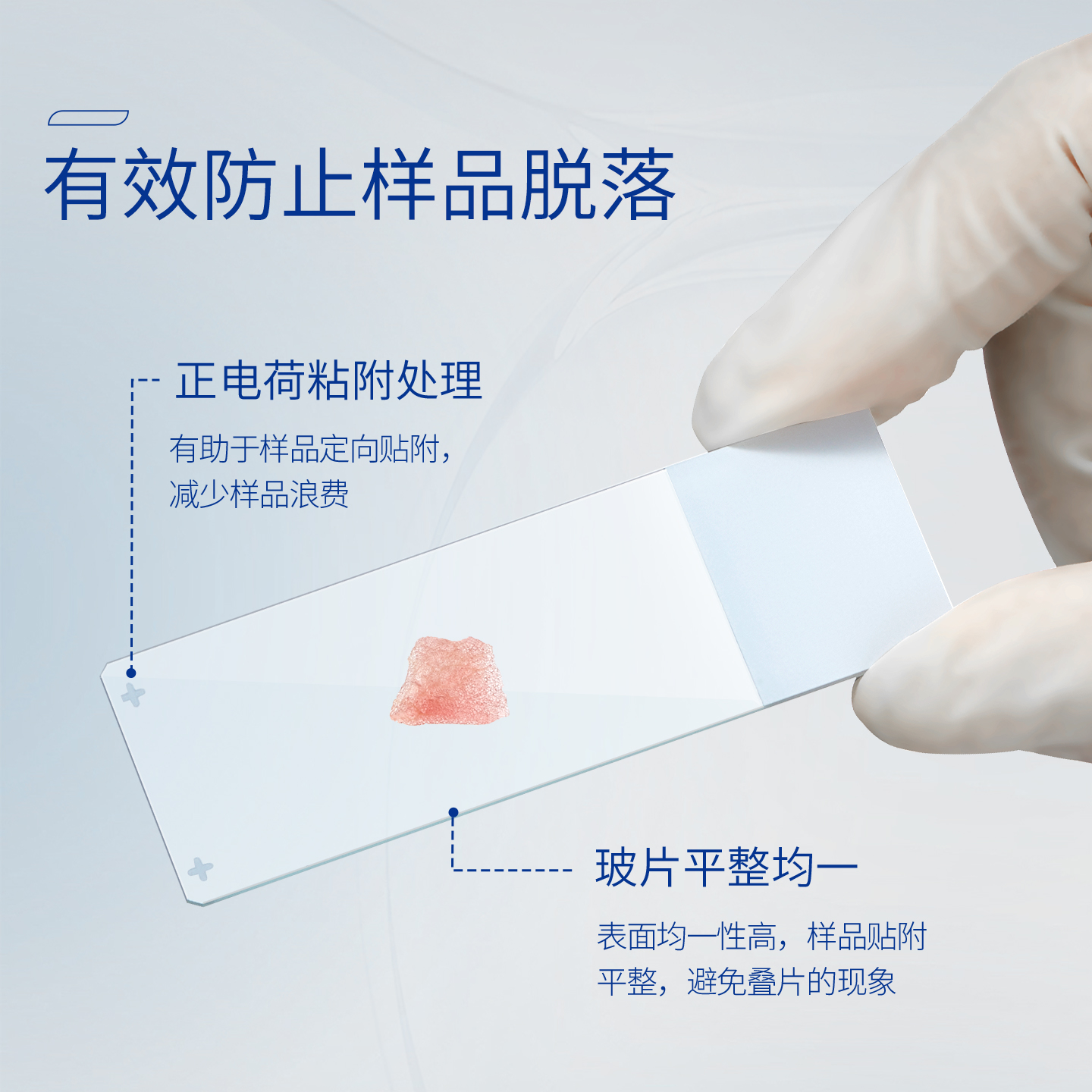 成都玻仪实验室载玻片：揭秘显微镜下的微观世界，50片装长方形载玻片如何助你一臂之力？