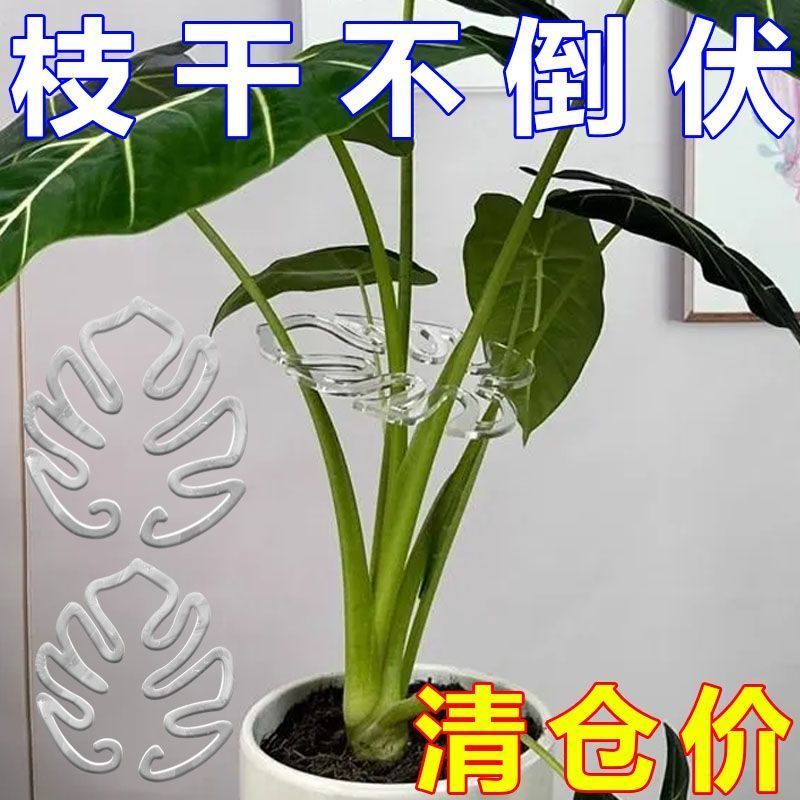 【拍1发10】龟背竹支撑杆：拯救你的绿植，让它们挺拔生长
